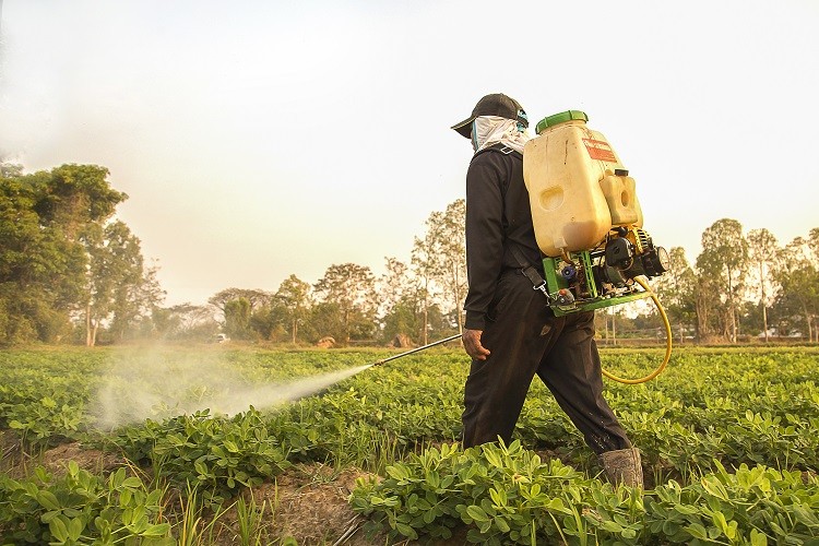Ilze Aizsilniece: Pesticīdu bīstamība pieaugušo un bērnu veselībai