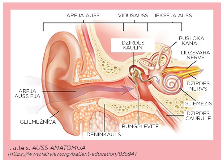 Жалаңаш әйелдер лайда төбелеседі Өкіл әкем екеуміз әйелімді ұрып жатырмыз.