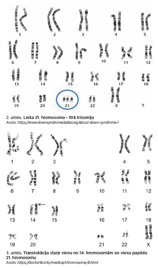 hromosomas